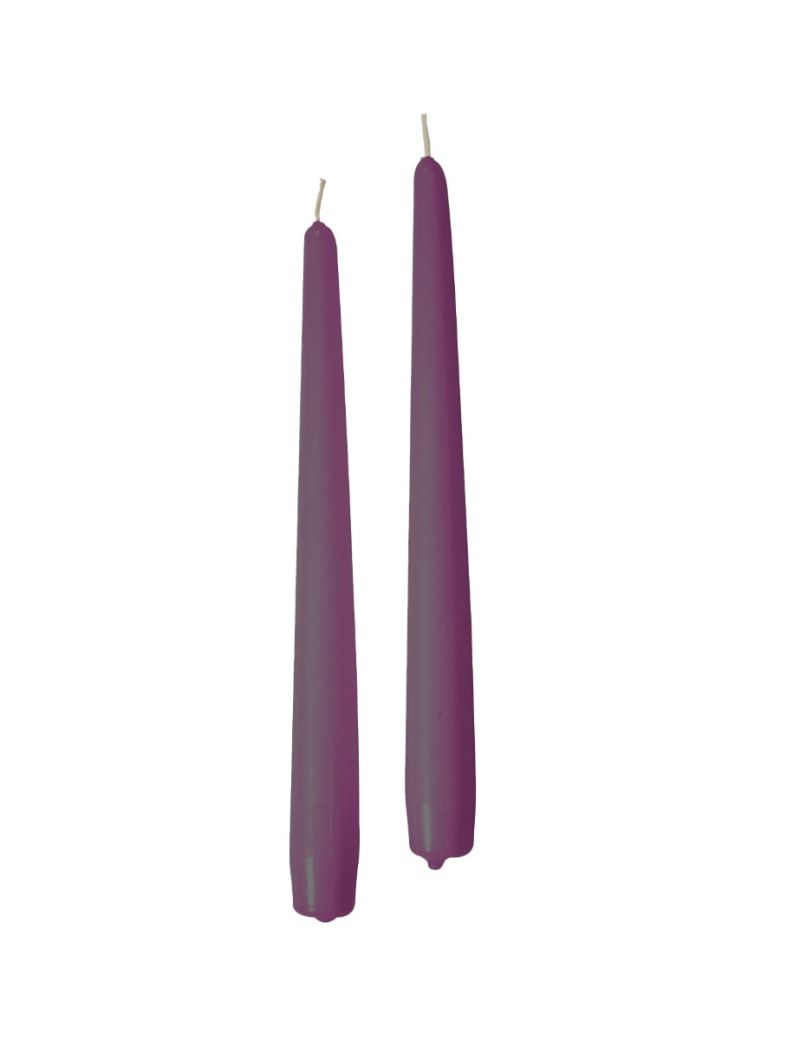 Candele coniche Ø 2,2 cm h. 25 cm 2 pezzi - Prugna