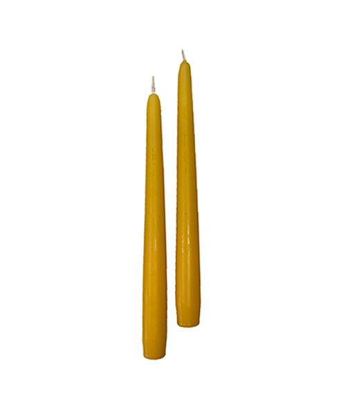 Candele coniche Ø 2,2 cm h. 25 cm 10 pezzi - Mostarda