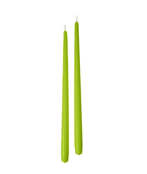 Candele coniche Ø 2,2 cm h. 40 cm 6 pezzi - Pistacchio